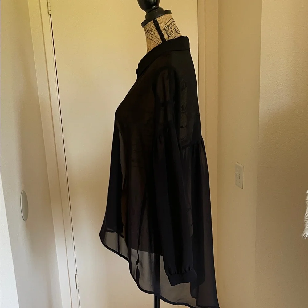 Express Black Sheer Blouse - Picture 3 of 5